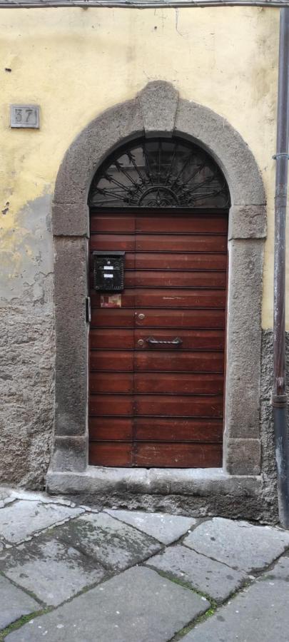 Viterbo Alloggio Turistico Hipster House エクステリア 写真